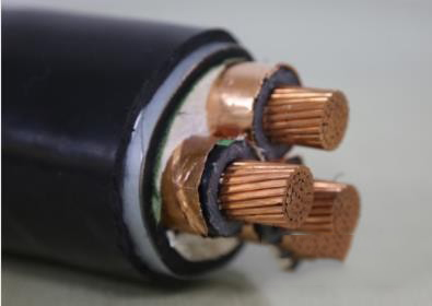 交聯(lián)聚乙烯絕緣鋼帶鎧裝聚氯乙烯護套電力電纜